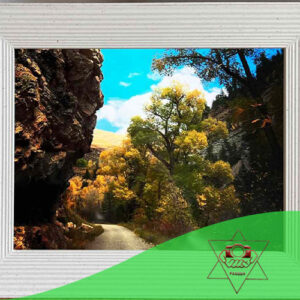 آلبوم عکس دیجیتالی در کرج