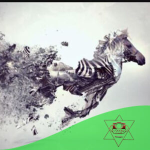 بهترین طراحی عکس در کرج